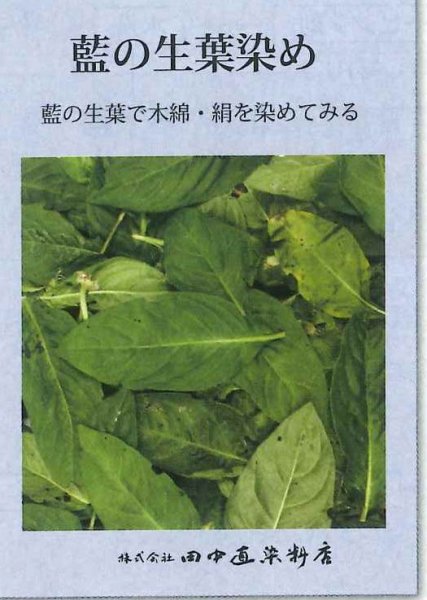 画像1: 天然藍（あい）の生葉染めセット（木綿・絹専用） (1)