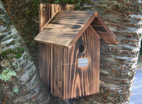 画像1: ［予約］小鳥巣箱（両屋根タイプ）組立キット (1)