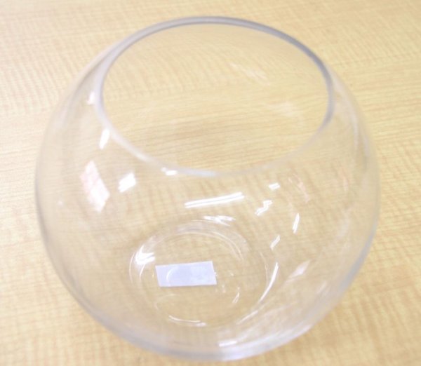 画像1: 球形テラリウムボトル (1)