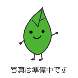 イチジク 蓬莱柿 日本種 苗 果樹苗 自然を育てる 自然生活ネット通販
